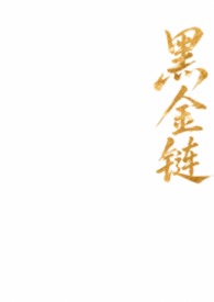 黑金链条包斜挎